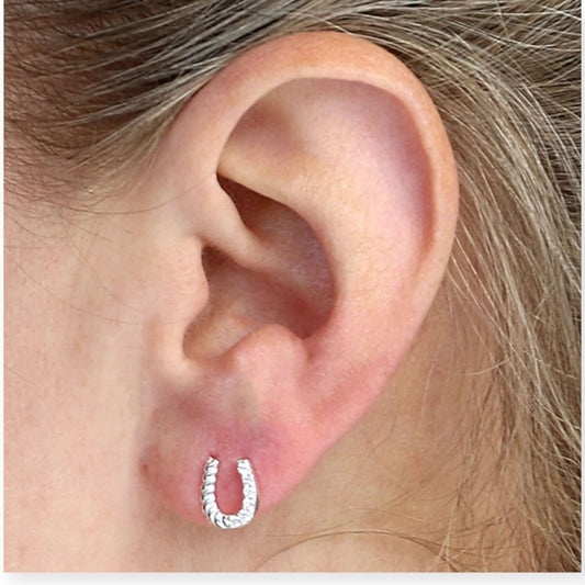 Half twist, half cubic zirconia horseshoe stud - Twelve Silver Trees