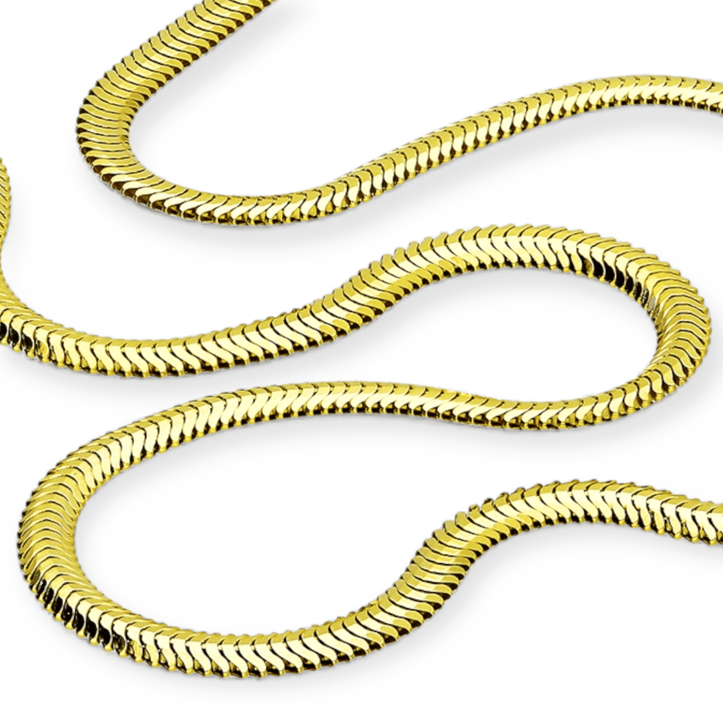Sterling Silver Gold Plated Oval Snake Chain Necklace - Twelve Silver Trees