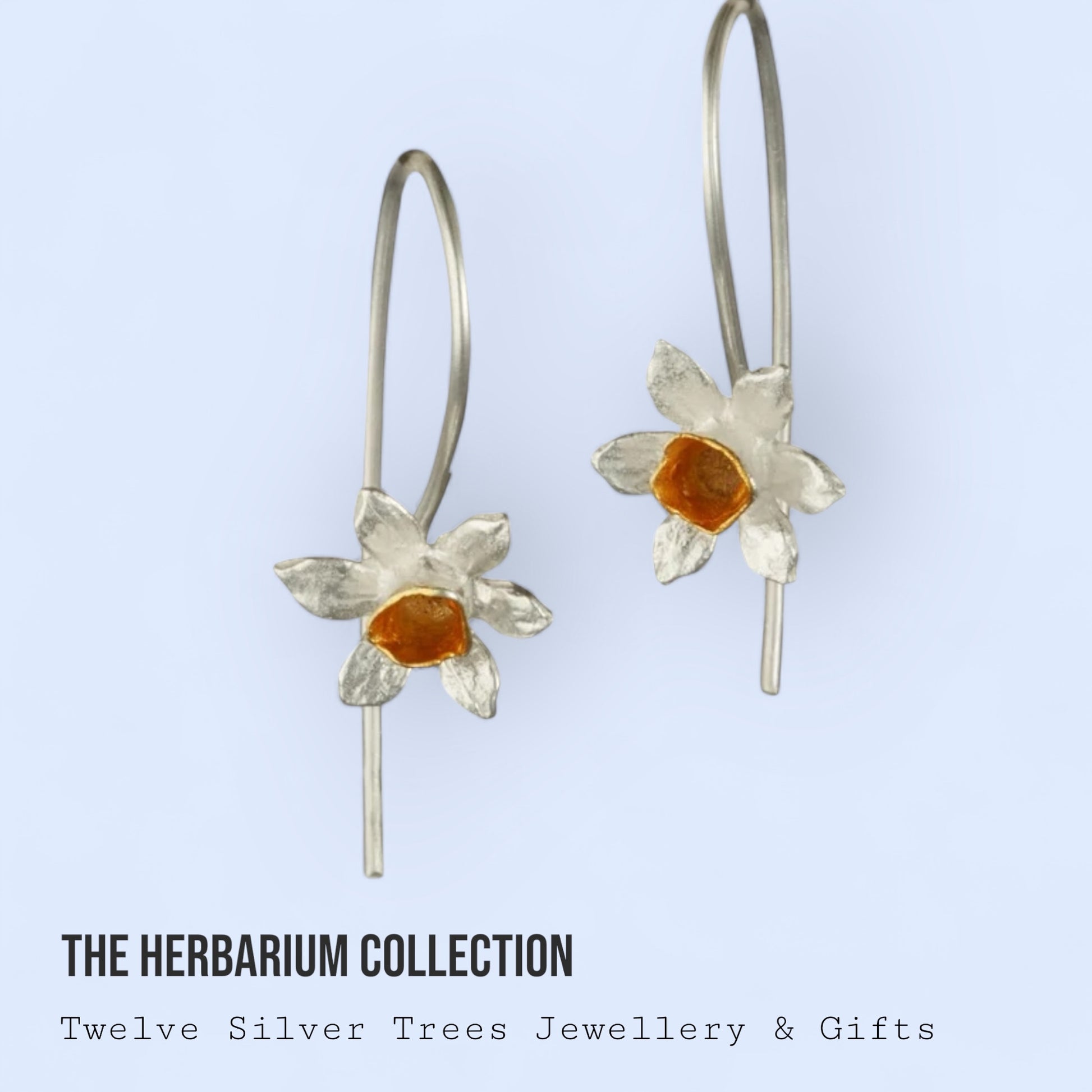 Daffodil Flower Earrings in Sterling Silver & 18 Carat Gold - Twelve Silver Trees