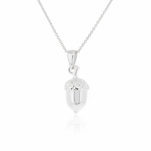 Sterling Silver acorn-shaped pendant and chain  on a white background from The Herbarium Collection at Twelve Silver Trees Jewellery and Gifts 