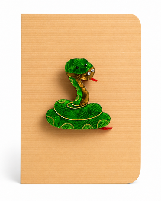 Striking snake keepsake card featuring a detailed decorative snake brooch mounted on a textured greeting card, creating a unique gift and keepsake in one.