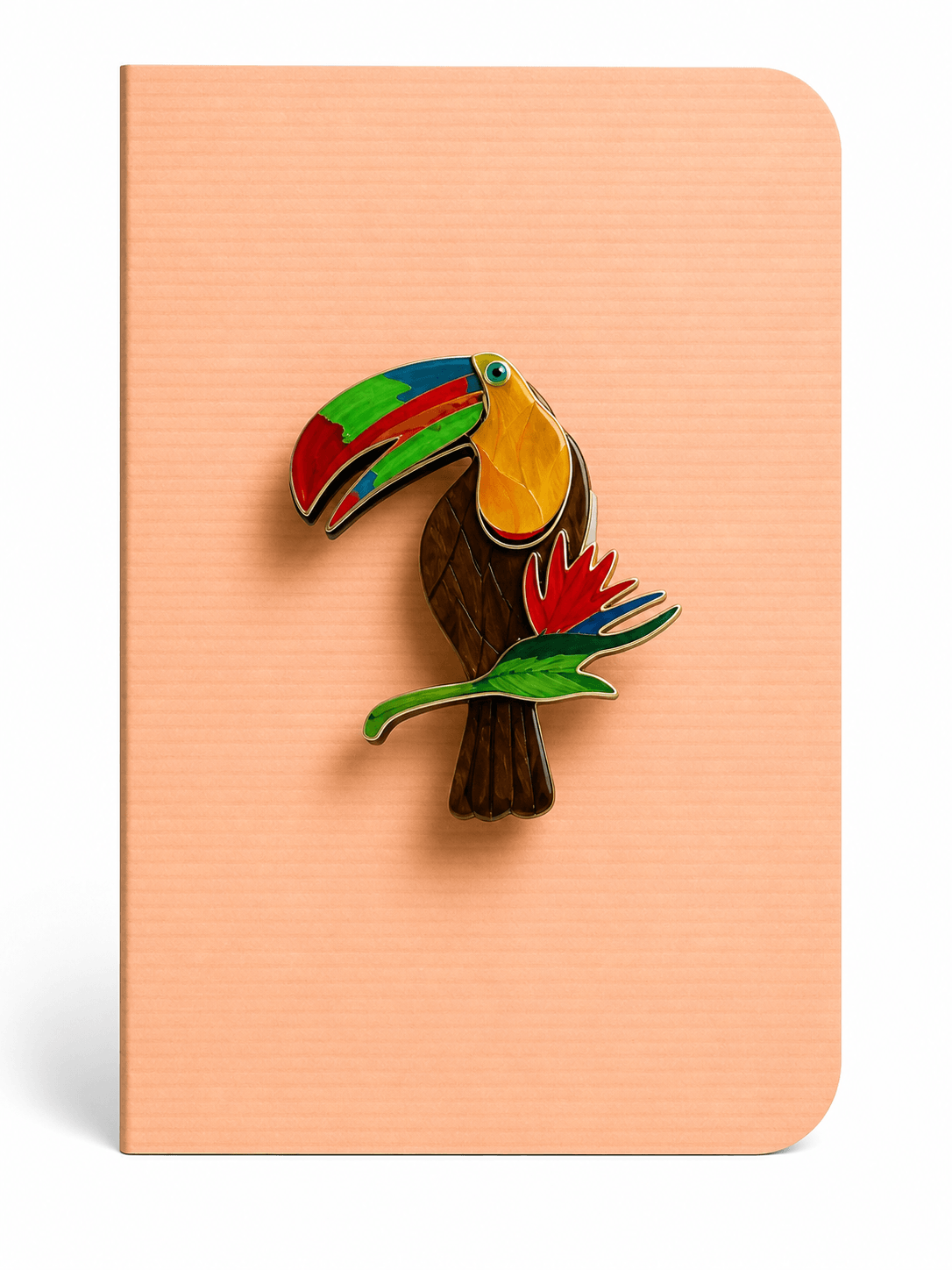 Toucan Keepsake Brooch Card – Blank Greeting Card with Removable Pin - Twelve Silver Trees