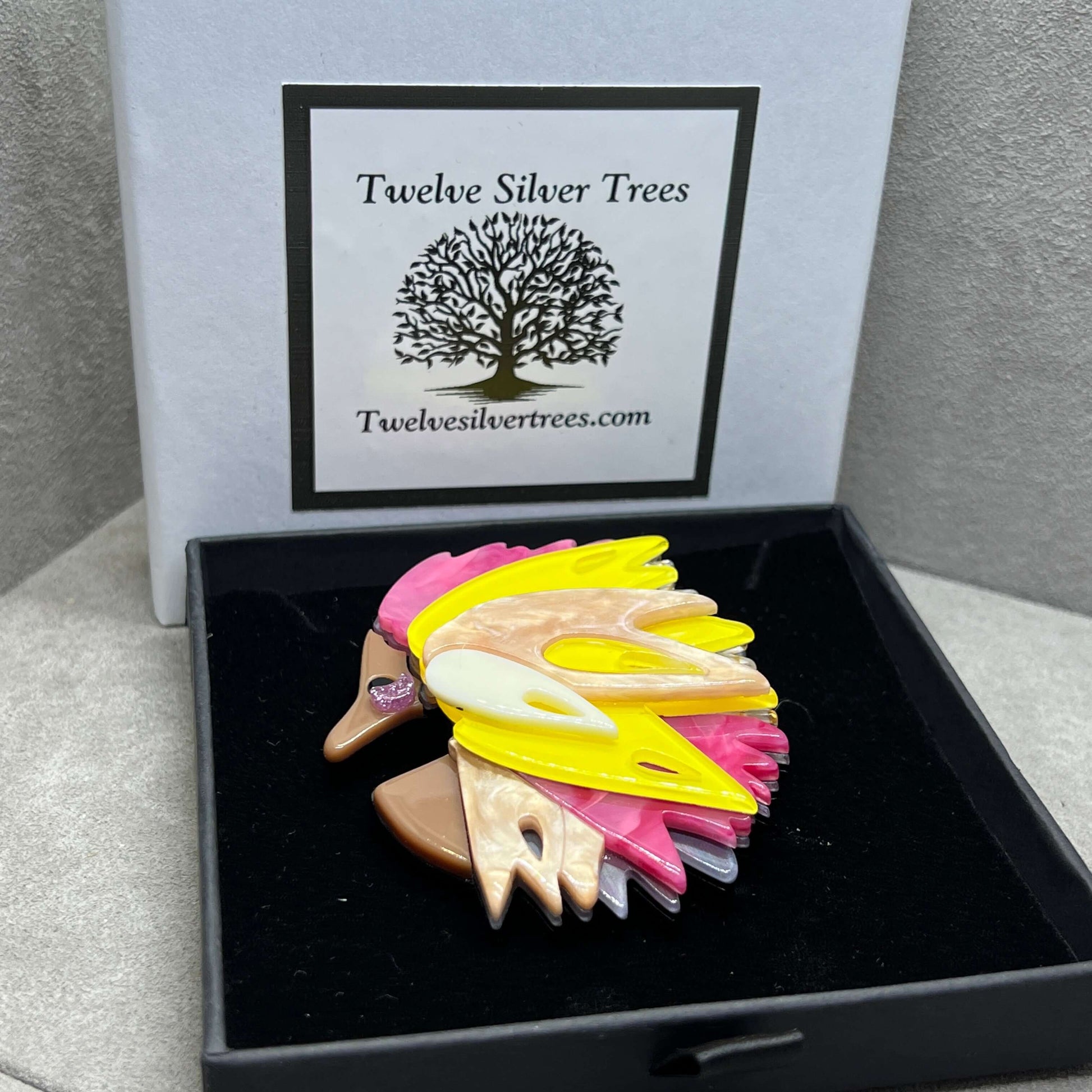 Handmade Acrylic Art Brooch - Funky Hedgehog - Twelve Silver Trees